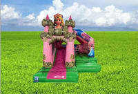 3d Princess Castle ( available from JULY)