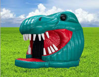 Dino Disco Dome
