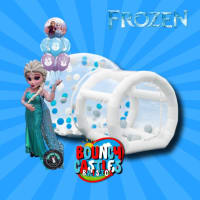 Frozen Bubble house hire