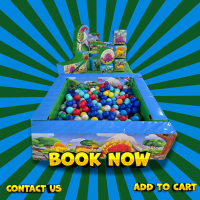 Dinosaur standard party package Hire