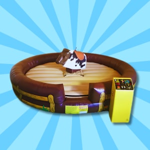 Rodeo Bull Hire