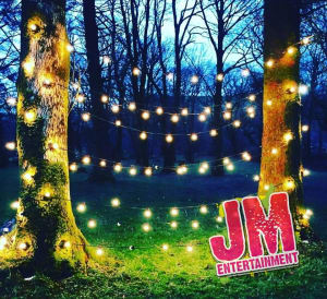 Festoon Lights 280 bulbs (100m)