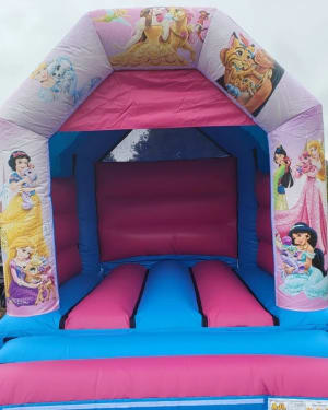 bouncy castle Any Theme