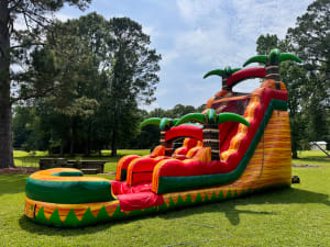 Water Slides