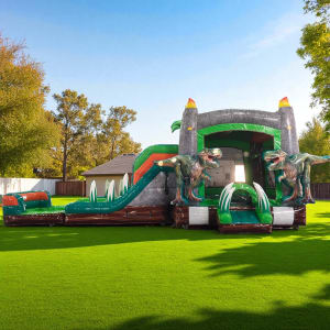 XL Dino Raptor Wet/Dry Combo