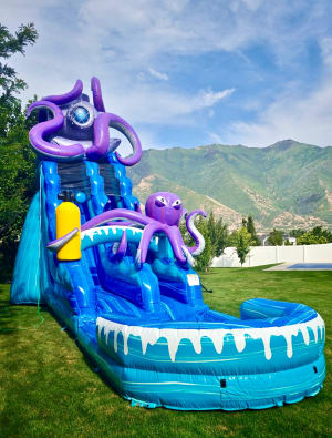 The Kraken