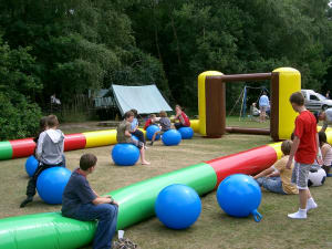 Animal Hopper Football