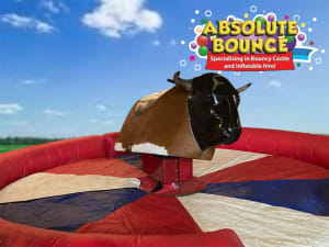 rodeo bulls