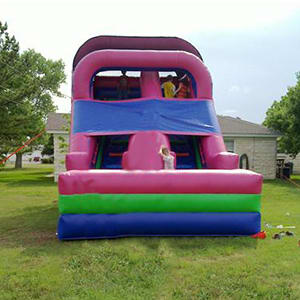 The Giant Purple Monster 20ft Slide Dry Slide
