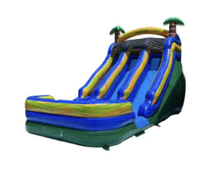 20ft Tropical Double Lane Slide "Wet or Dry"