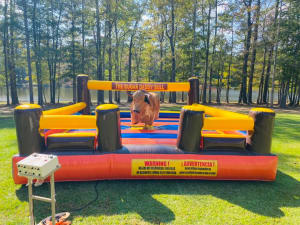 Mechanical Bull