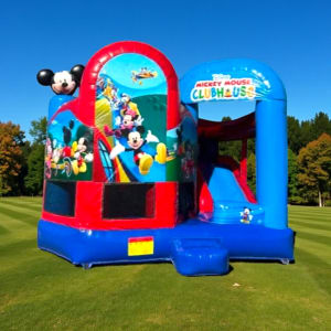 Large Mickey Mouse Clubhouse Dry Combo