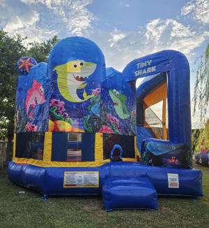 Shark 5-in-1 Combo (20x20)