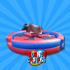 Rodeo bull hire