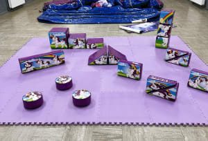 18-piece Unicorn Soft Play hire