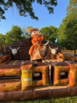 Mechanical Bull