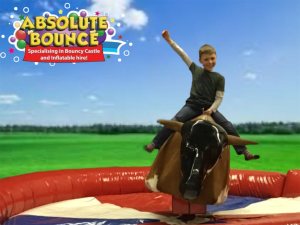 rodeo bulls