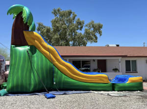 17FT TROPICAL SLIDE