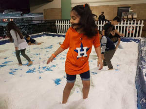 Snow Field 20x20ft