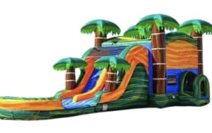 Cali Palms Combo Dual Lane Slide - DRY