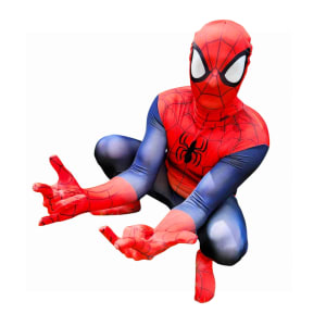 Spider Man Mascot