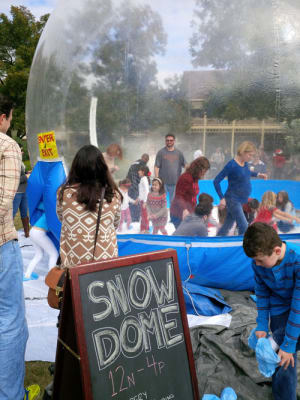 Giant Texas Snow Dome