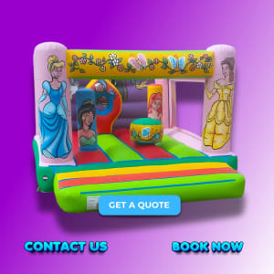 Princess Bouncy Castle Hire
