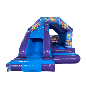 Bouncy Castle Slides