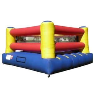 Bouncy Boxing with Gloves