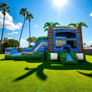 Aqua Trop 4-1 Wet/Dry Combo