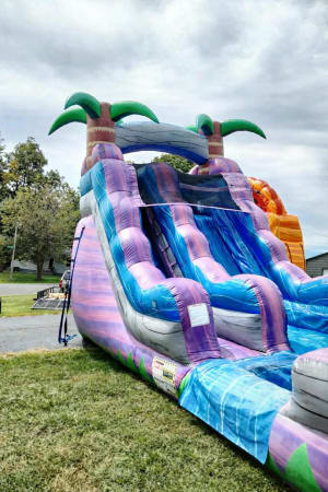 16ft Tropical Purple Crush