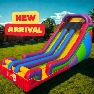 22' Wacky Double Lane Slide Dry