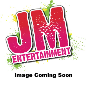 Snowball Themed Basketball Game Hire