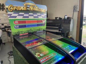 Roll And Bowl Lite - Grand National Theme (2 Player)