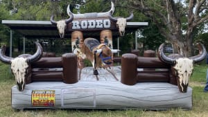 BROWN MECHANICAL BULL