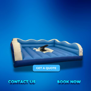 Snowboard Simulator hire