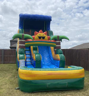 Water Slide (Palms and Sun)