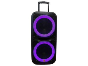 10" Dual Speaker System Battery Powered