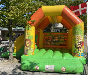 Jungleborgen M. Slide