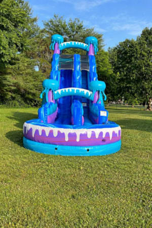 19ft Jellyfish Waterslide