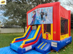 Frozen Theme Combo (Dry)