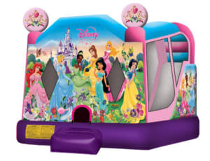 Disney Princess Combo