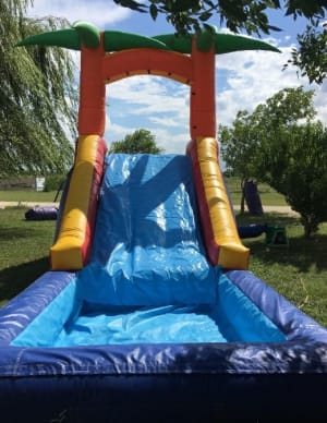 Palm Tree Water Slide (12ft x 25ft | 10ft Tall)