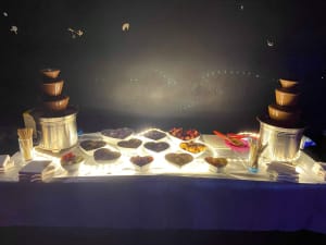 Silver Chocolate Fountain