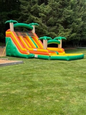 Double Lane Tropical Water Slide (Delivery Only)