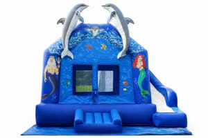 Under the Sea Slide Combo