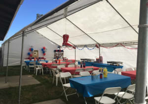 20x30 canopy