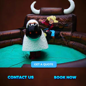 Rodeo Sheep hire
