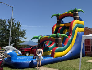 Splash Dolphin Water Slide19 feet