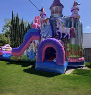 Princess kingdom